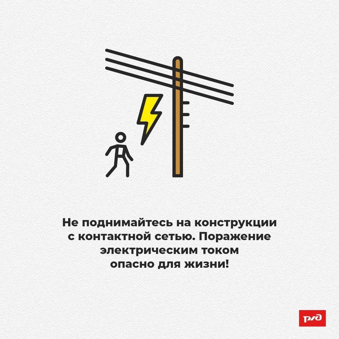 IMG_4239.png